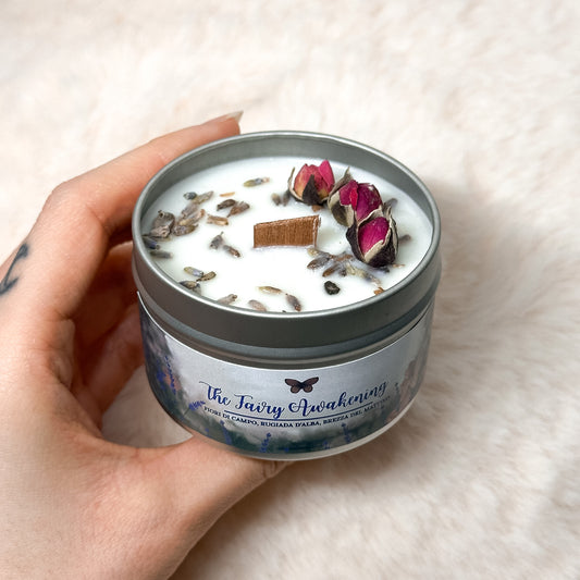 CANDELA THE FAIRY AWAKENING