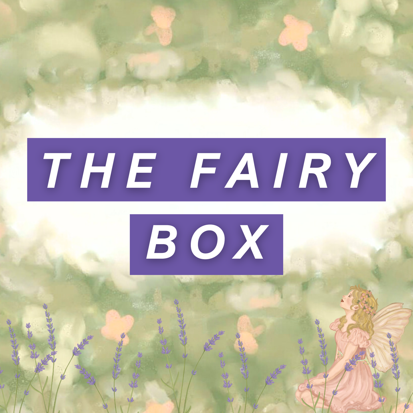 THE FAIRY BOX