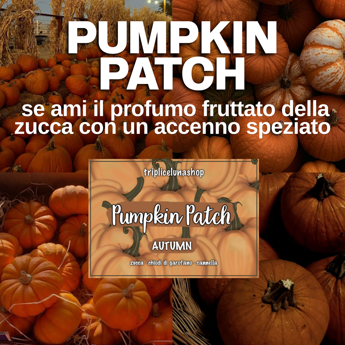 CANDELE | COLLEZIONE AUTUNNALE