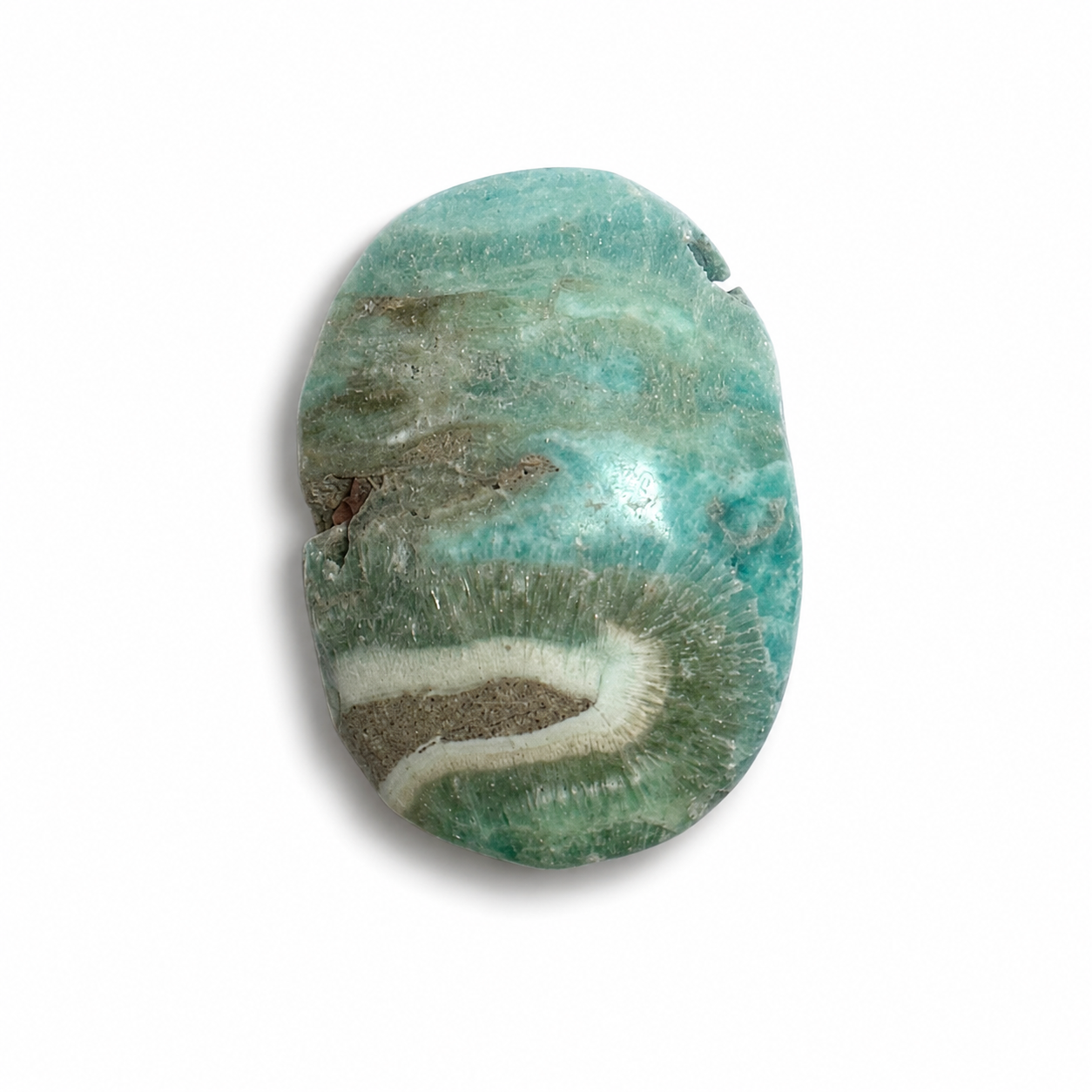 PALMSTONE IN CALCITE CARAIBICA