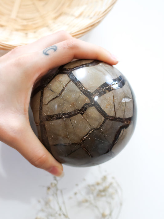 Sfera di Septaria (Pietra Del Drago) con Calcite