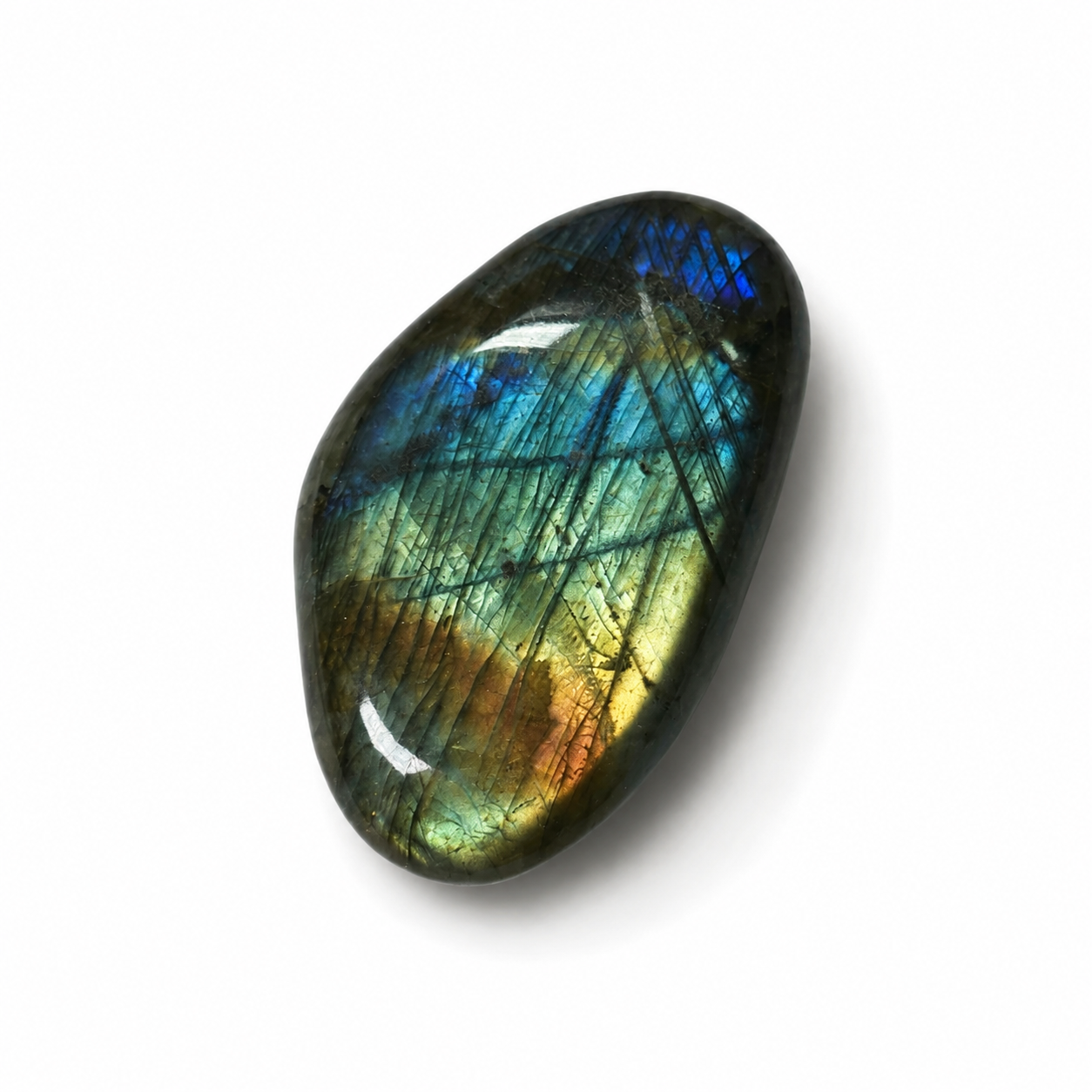 PALMSTONE IN LABRADORITE