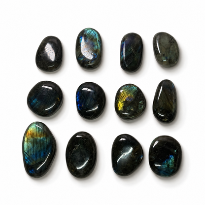 PALMSTONE IN LABRADORITE