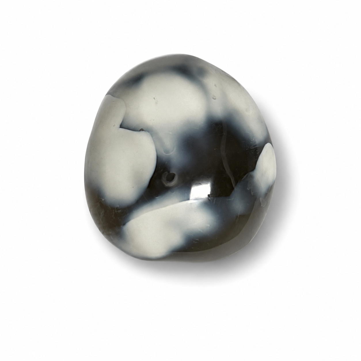 PALMSTONE IN AGATA ORCA