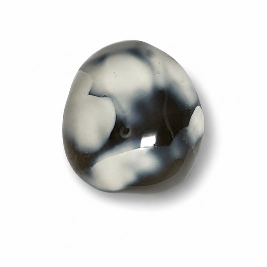 PALMSTONE IN AGATA ORCA