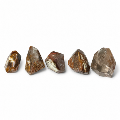 FREEFORM IN QUARZO RED AMPHIBOLE