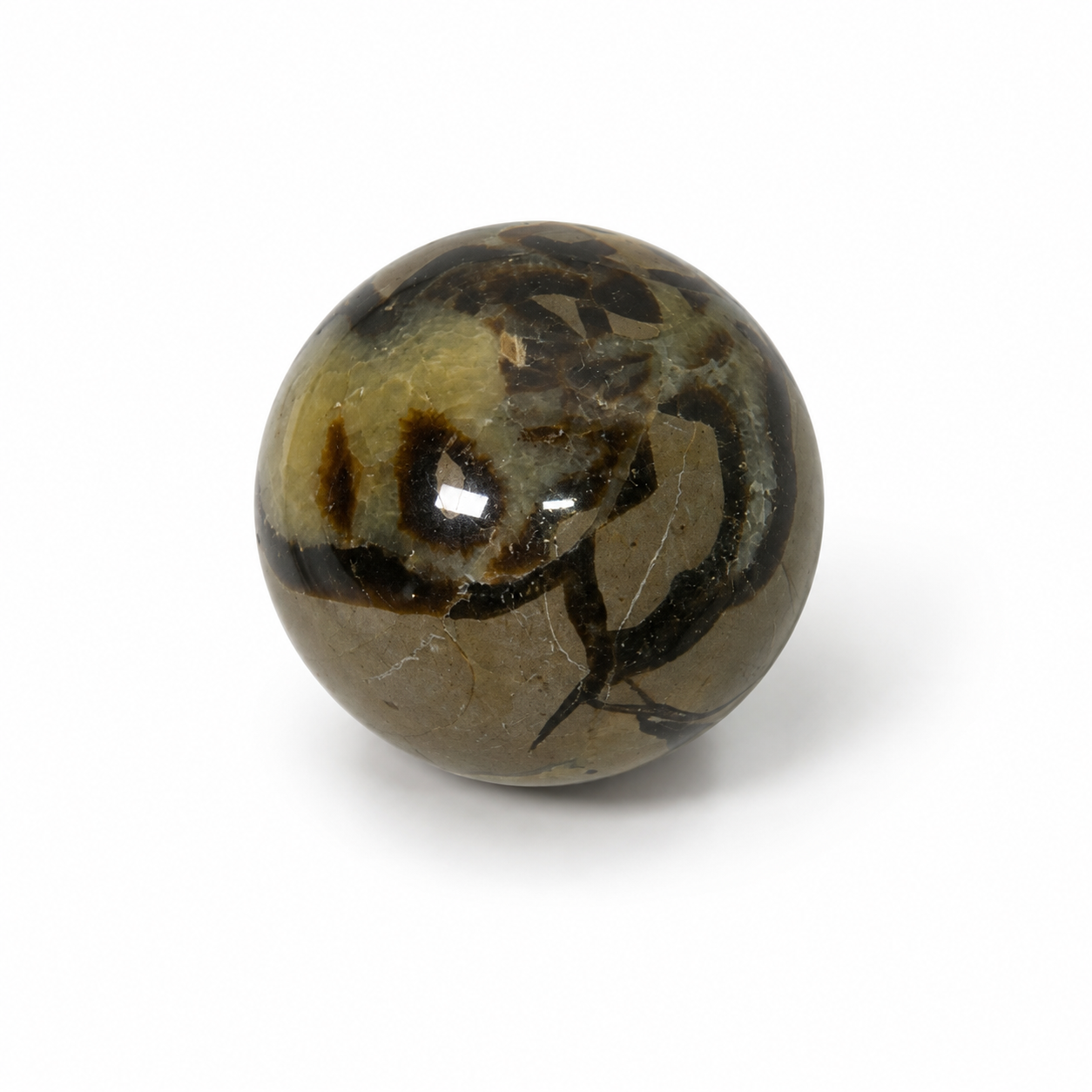 SFERA IN SEPTARIA