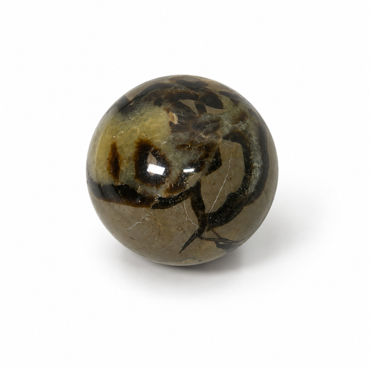 SFERA IN SEPTARIA