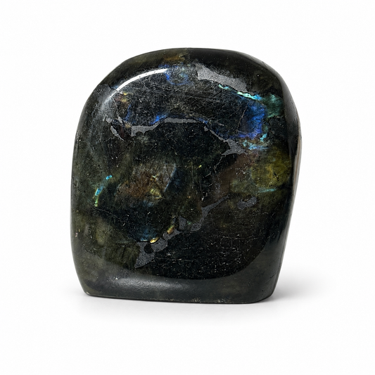 FREEFORM IN SPECTROLITE