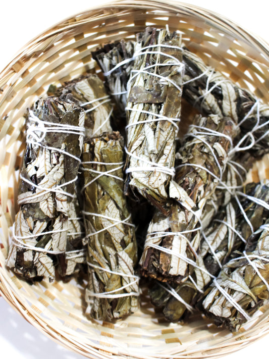Yerba Santa (Erba Santa) - Bundle di Erbe