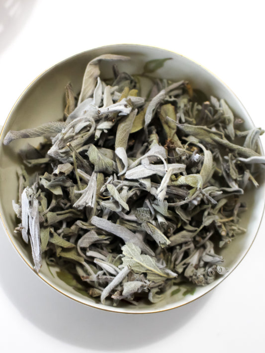 Salvia Mediterranea - Erba Essiccata (10gr)